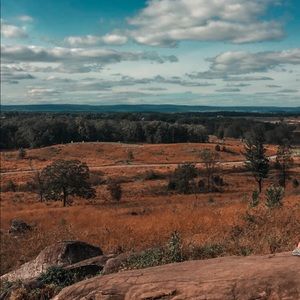 Meet your Posher, Bella